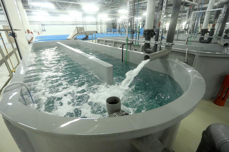 Foto: Goran Stanzl/PIXSELL