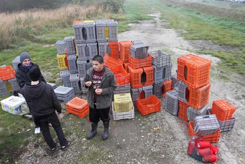 Foto: Vjeran Žganec Rogulja / Pixsell