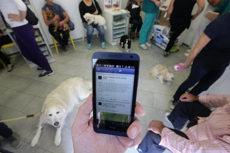 Foto: Željko Lukunić / Pixsell