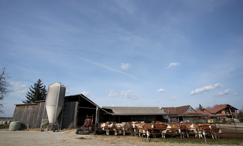 FOTO: Igor Kralj/PIXSELL