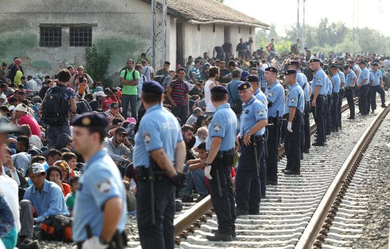 Foto: Željko Lukunić / Pixsell