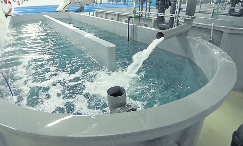 Mrijestilište na više od 9000 kvadrata zapošljava 30 radnika