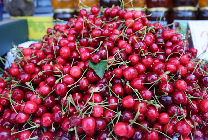 Foto: Dusko Jaramaz/PIXSELL