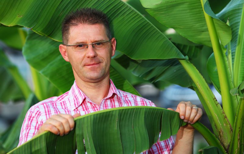 Ivan Šulog (Photo: Tomislav Miletic/PIXSELL)