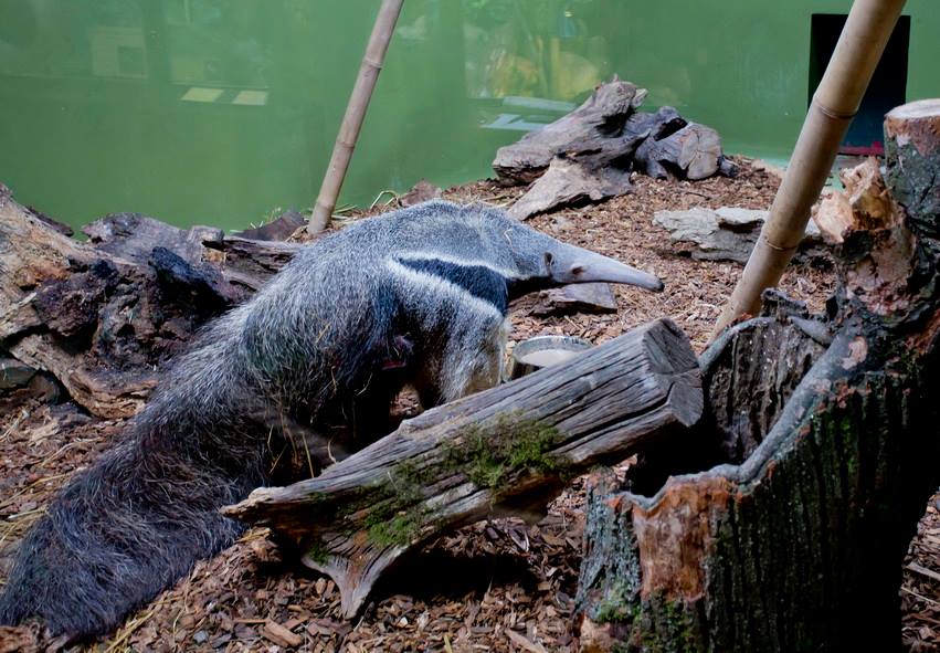 Foto: Zoološki vrt Zagreb