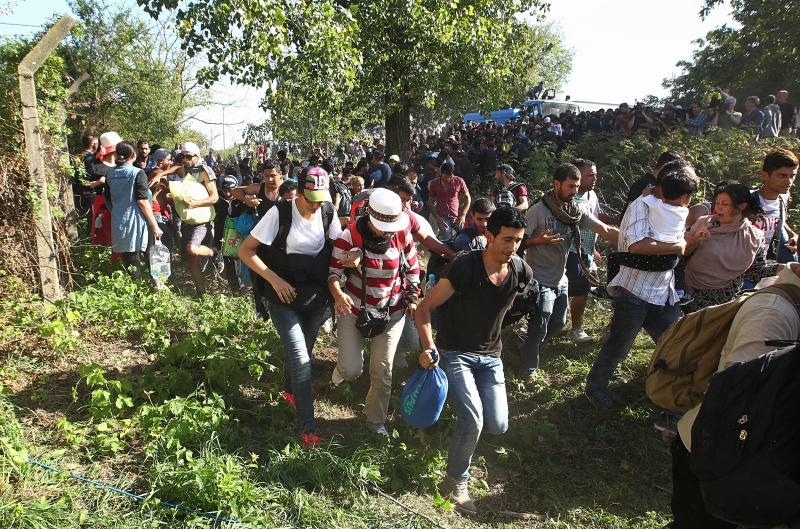 Foto: Zeljko Lukunic/PIXSELL