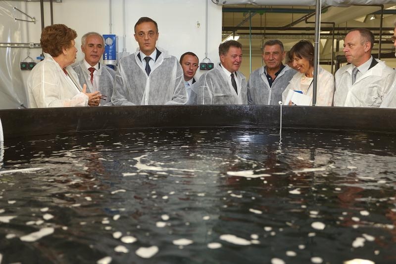 Foto: Goran Stanzl/PIXSELL