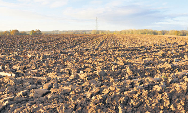 Bruto dodana vrijednost u agraru od početka 2011. pala 16 posto/ FOTOLIA