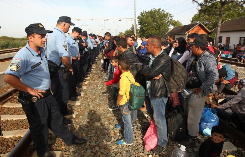 Foto: Željko Lukunić / Pixsell