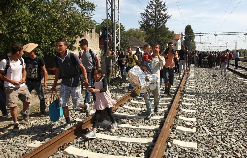 Foto: Zeljko Lukunic/PIXSELL