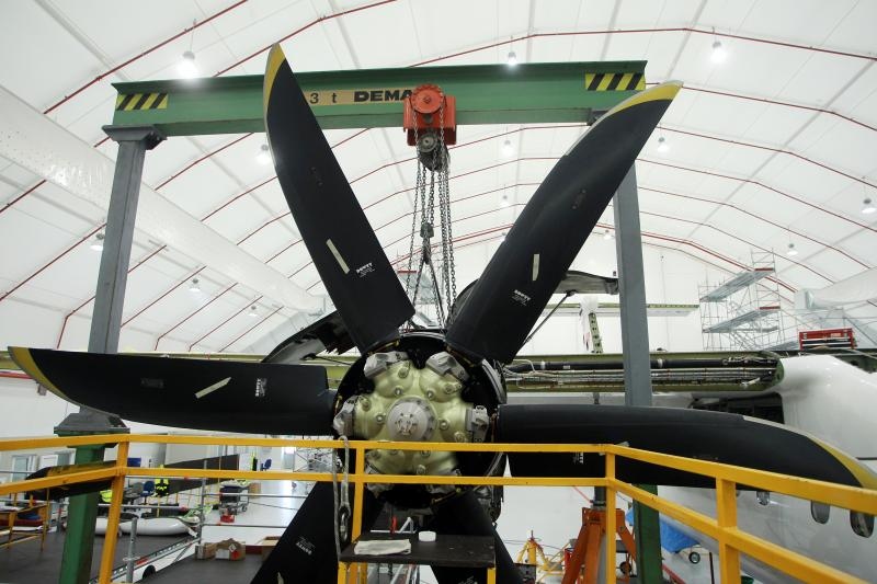 Foto: Goran Jakuš / Pixsell