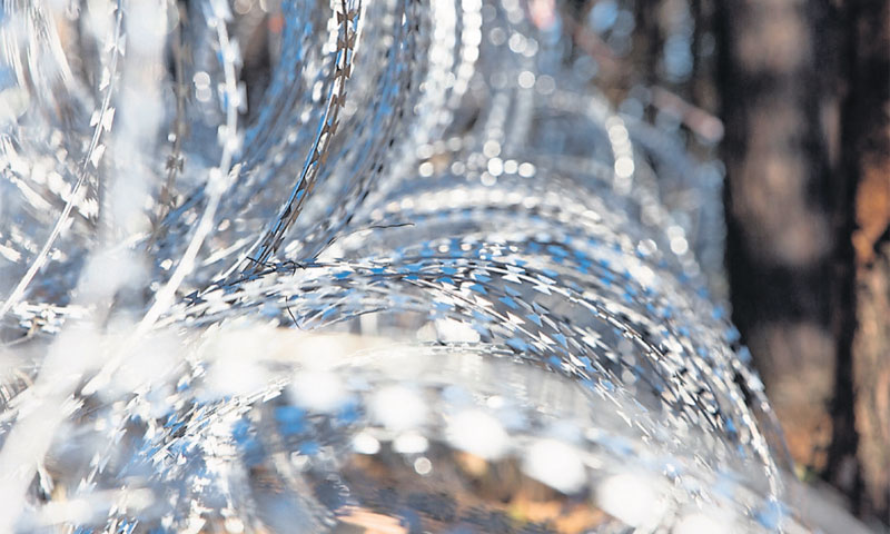 Već je znatno usporen promet između Austrije i Njemačke/Nel Pavletić/PIXSELL