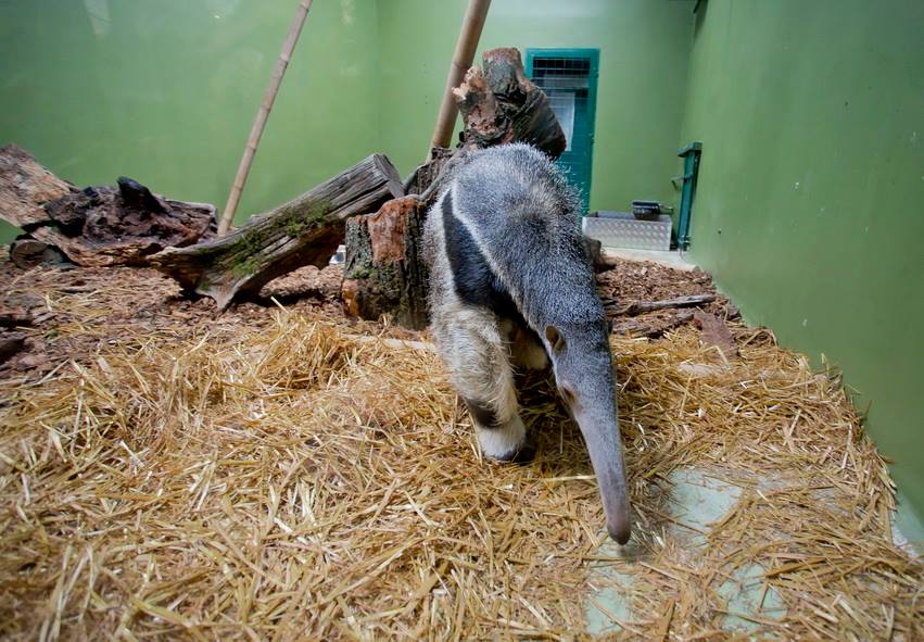 Foto: Zoološki vrt Zagreb