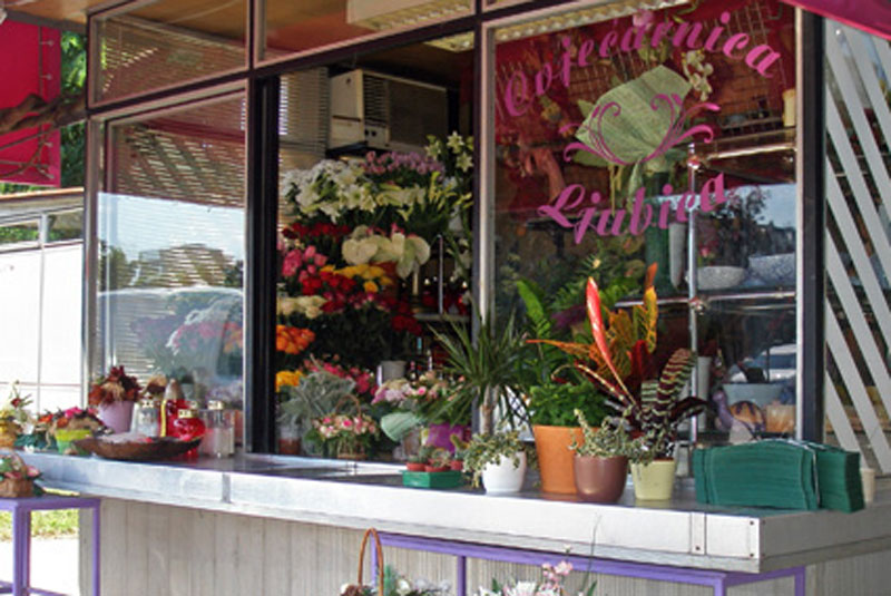 Foto: Privatni album