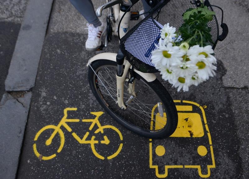 Foto: Marko Lukunić / Pixsell