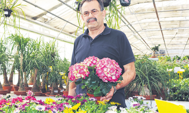 Tvrtka MBM iz Lučkog u vlasništvu Mladena Bakovića radi u devet kaštelanskih staklenika/ D. Višnjić/