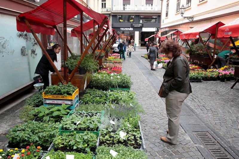 Foto: Patrik Macek / Pixsell