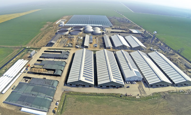 Najveća farma muznih krava u Hrvatskoj