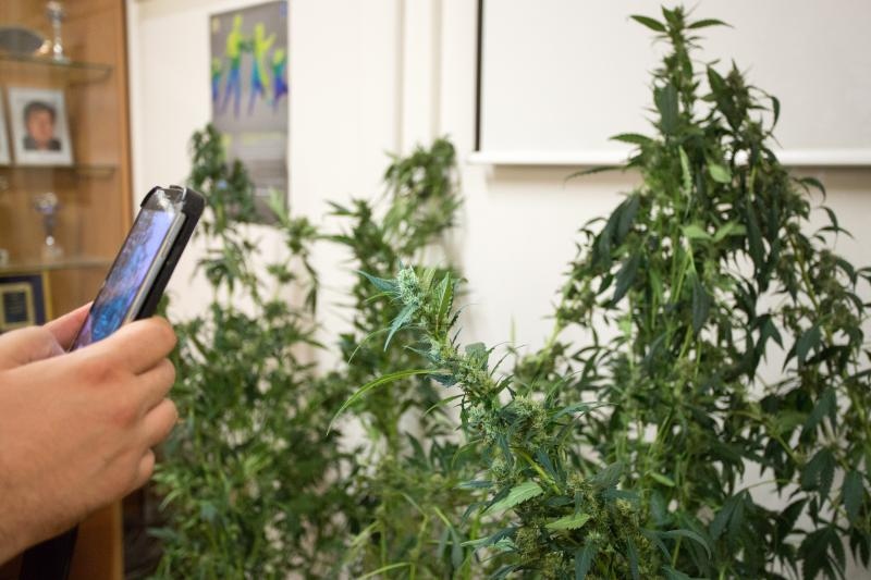 Foto: Nel Pavletić / Pixsell