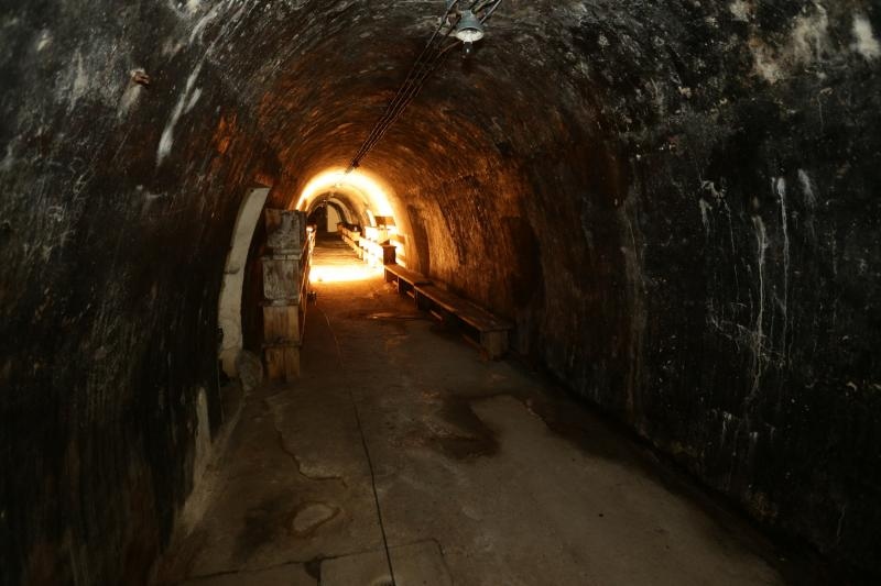 Foto: Željko Lukunić / Pixsell