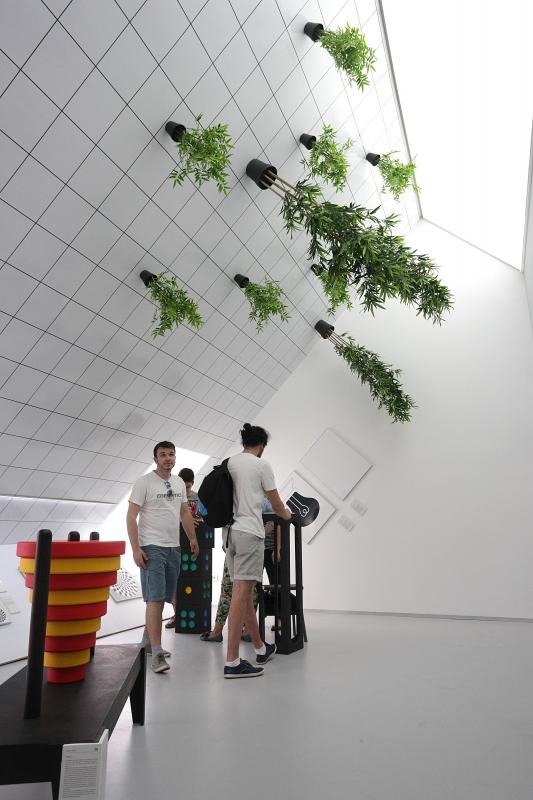 Foto: Zarko Basic/PIXSELL