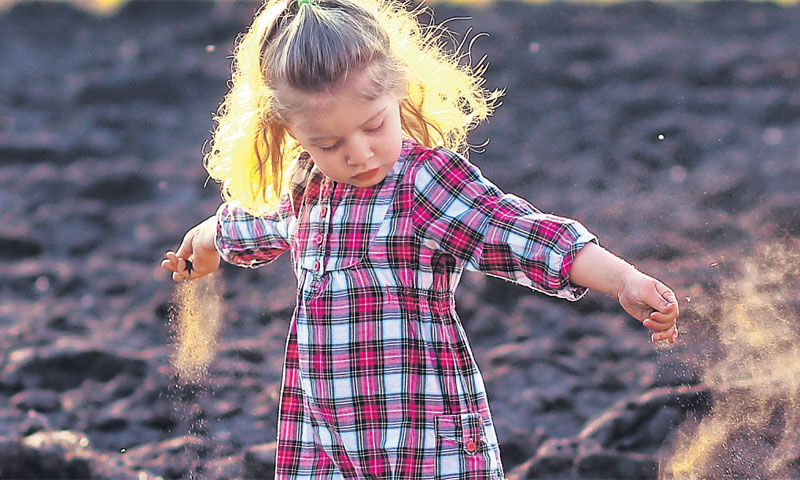 Trećina poljoprivrednog zemljišta je uništena, 75 posto usjeva je izgubljeno, a 22 posto životinjski