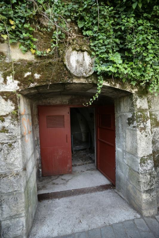 Foto: Željko Lukunić / Pixsell