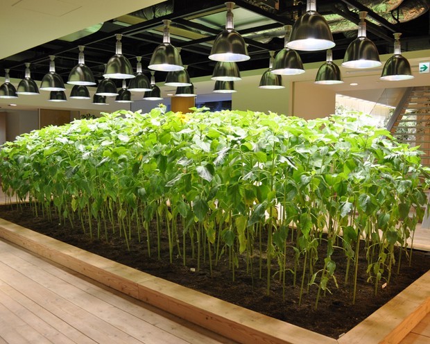 Fotografije preuzete s portala www.croenergo.eu