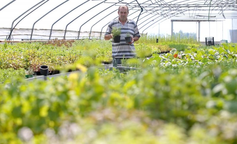 Foto: Igor Kralj/PIXSELL