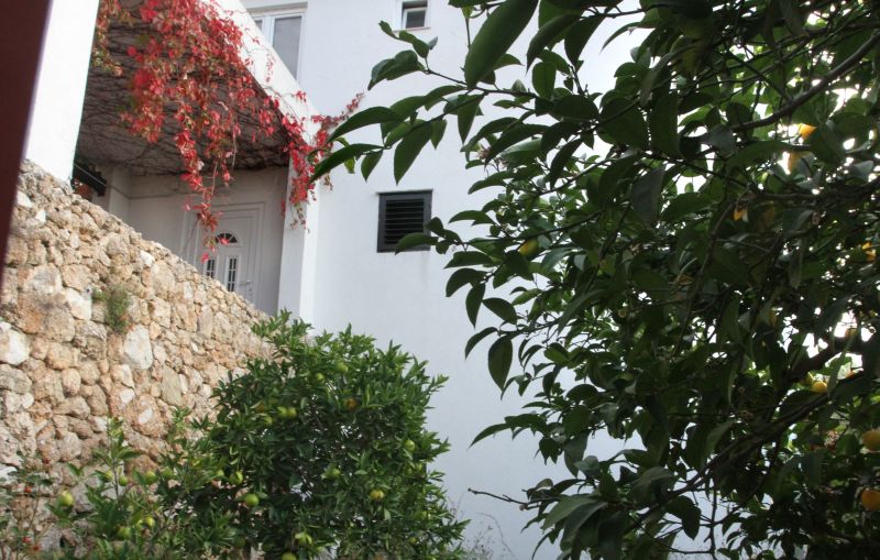 Photo: Ivana Ivanovic/PIXSELL