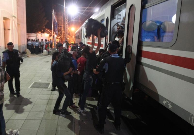 Foto: Zeljko Lukunic/PIXSELL