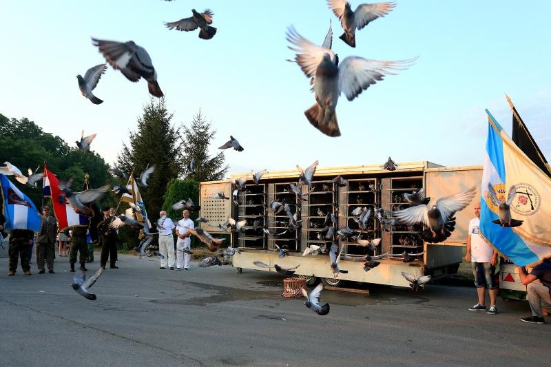 Foto: Davor Javorovic/PIXSELL