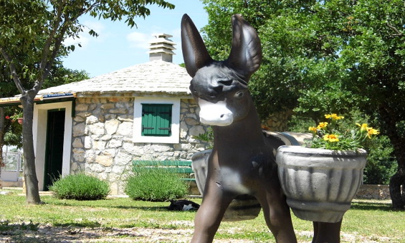 Fotogarafije: Seosko imanje Rajčića dvori