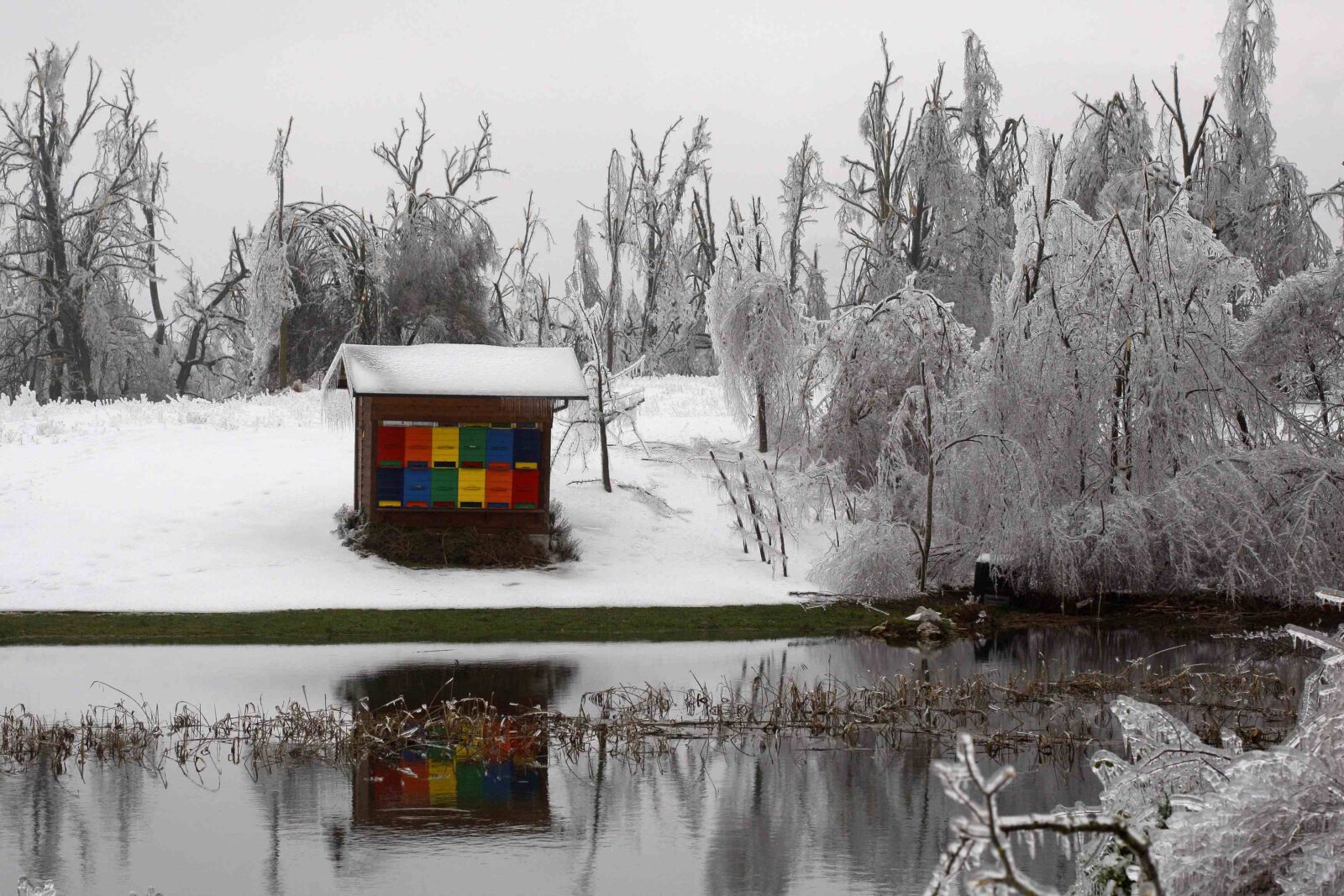 Reuters