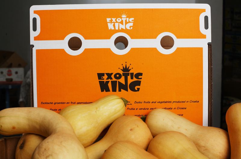 Photo: Tomislav Miletic/PIXSELL