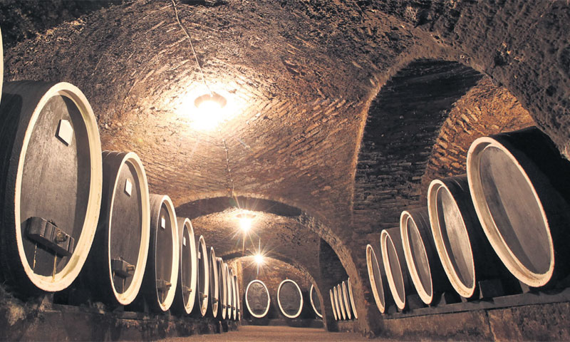 Foto: Robert Anić/PIXSELL