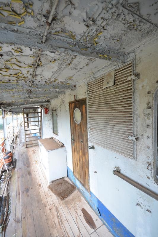 Foto: Duško Marušić / Pixsell