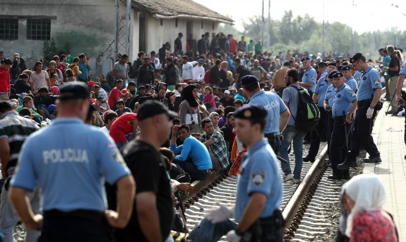 Foto: Željko Lukunić / Pixsell