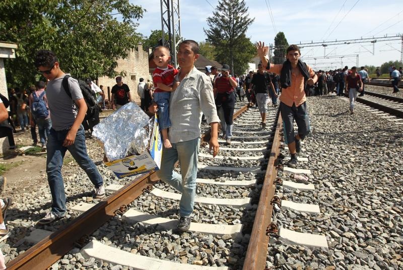 Foto: Zeljko Lukunic/PIXSELL