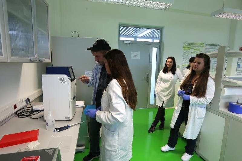 Foto: Goran Kovačić / Pixsell