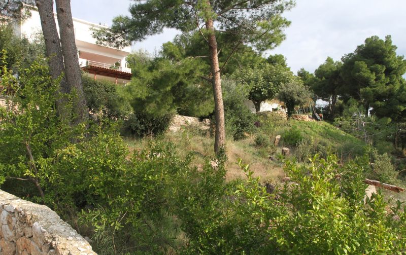 Photo: Ivana Ivanovic/PIXSELL