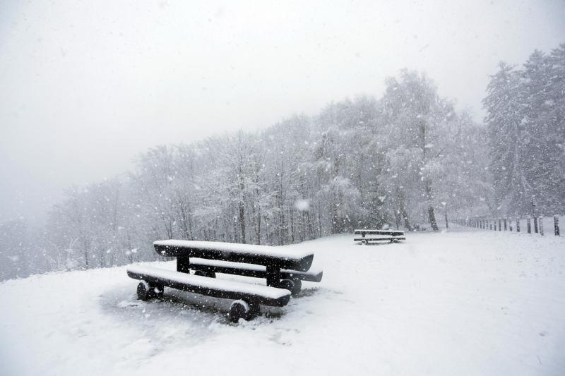 Foto: Borna Filic/PIXSELL