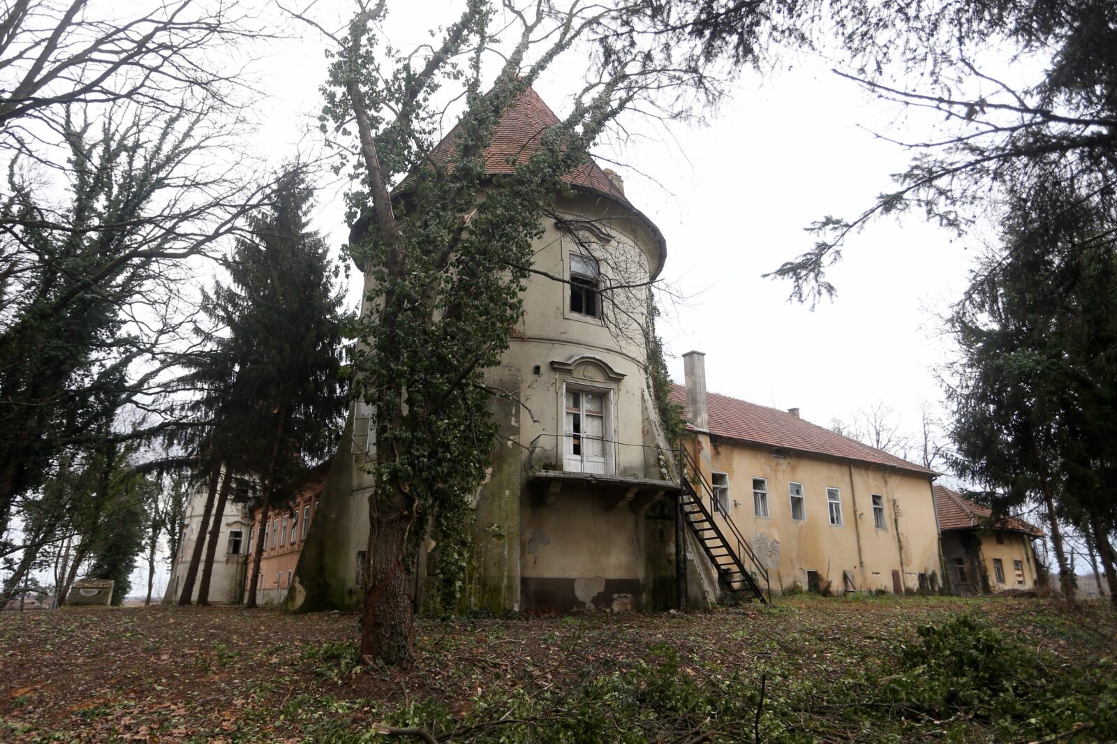 Photo: Davor Puklavec/PIXSELL