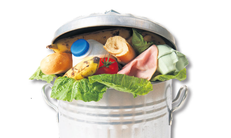Svake godine, izgubi se ili baci trećina hrane koja se proizvede/Fotolia