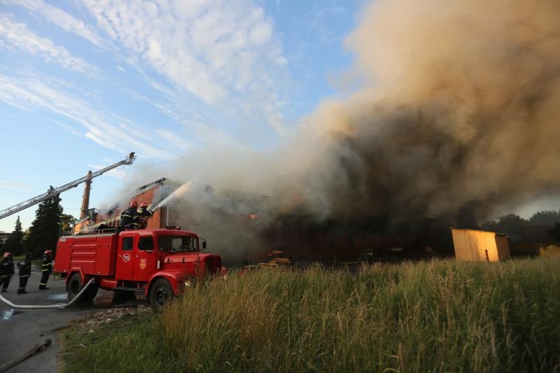 Foto: Marko Mrkonjic/PIXSELL