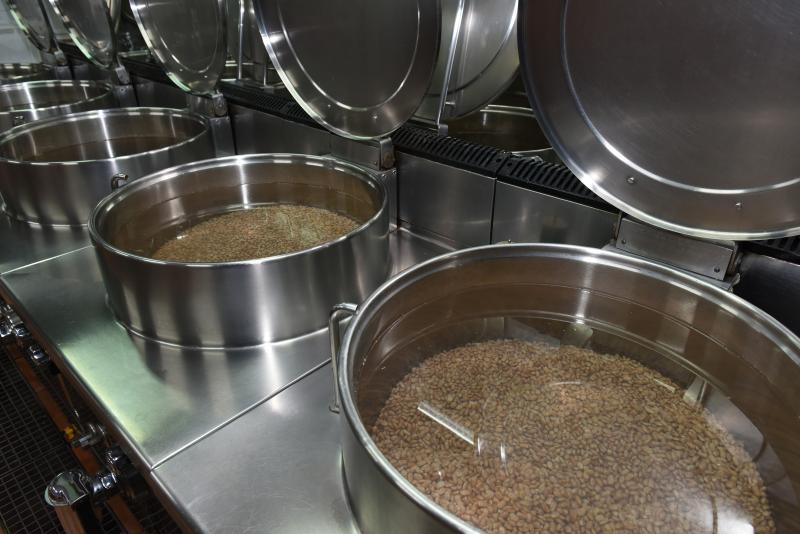 Foto: Davor Visnjic/PIXSELL