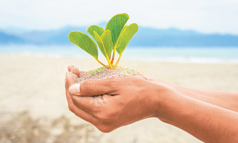 U Austriji je 20% površina pod ekoproizvodnjom, u Češkoj 11, u Italiji devet, u Sloveniji osam, u Šp