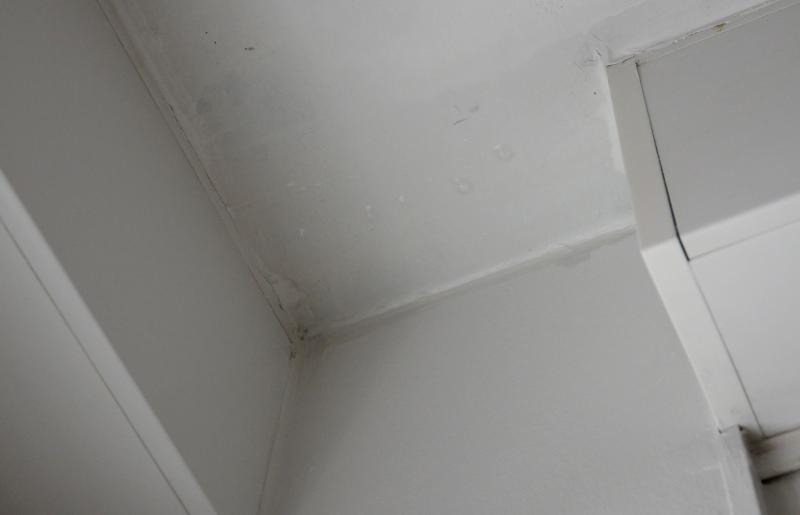 Foto: Marko Prpic/PIXSELL