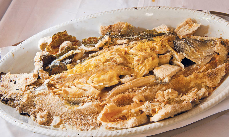 Orada u soli/Grgo Jelavić/PIXSELL