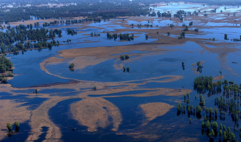 Kopački rit, Zvonimir Tanocki HTZ
